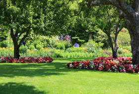 lawn, flowers, and landscape