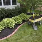 lawn care and mulch