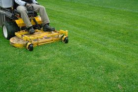 mowing lawn